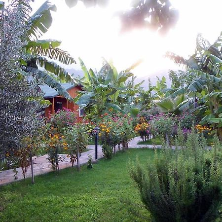 Estelar Bungalow Çıralı Exterior foto