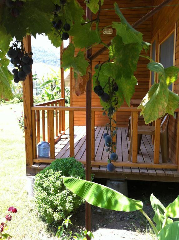 Estelar Bungalow Çıralı Cameră foto