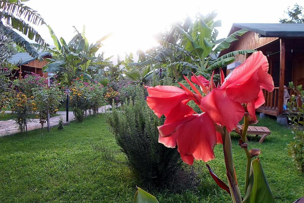 Estelar Bungalow Çıralı Exterior foto